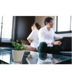 我が家の失敗談